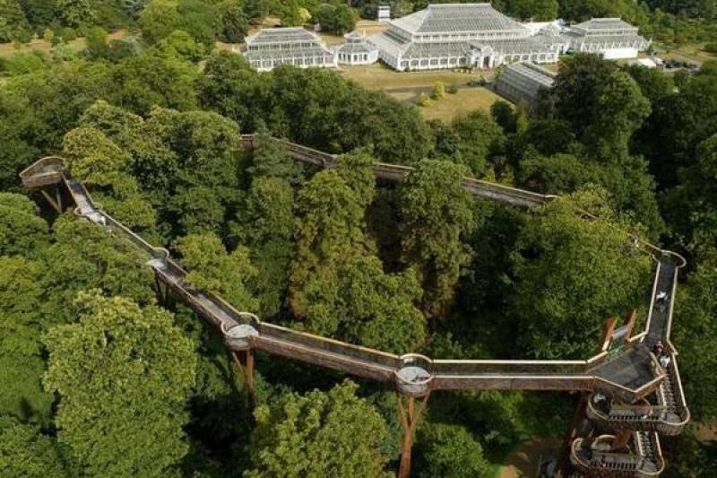 Treetop Walkway Kew