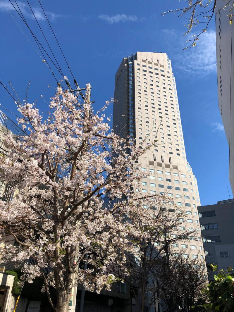 Cerulean Tower Tokyu Hotel