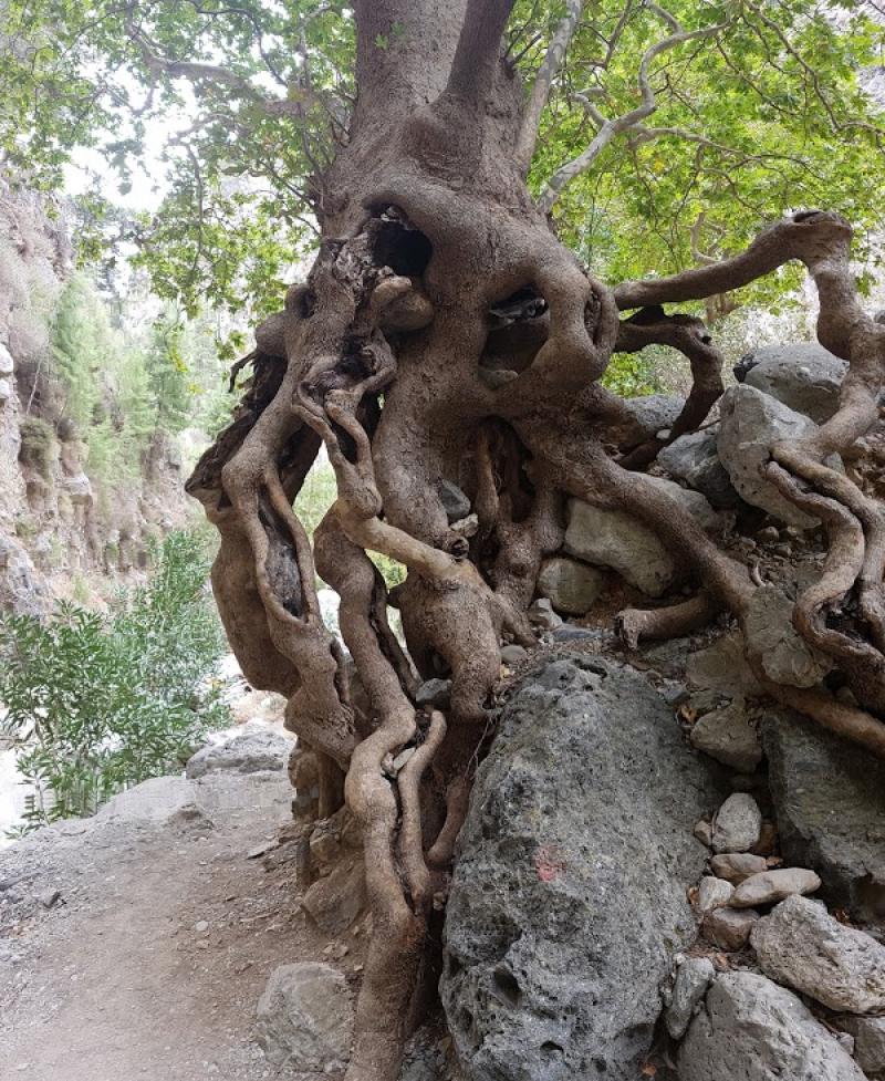 Agia Eirini Gorge