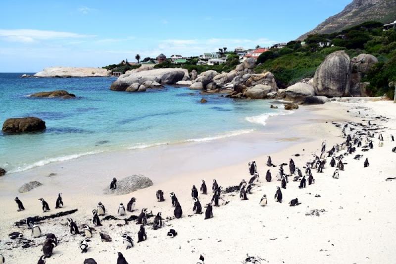 Boulders Beach