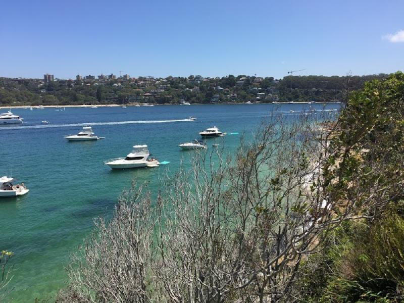 Manly To Spit Bridge Coastal Walk