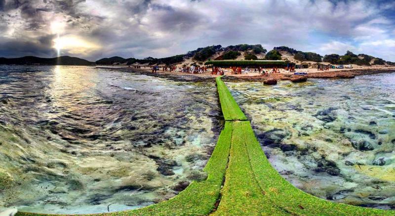 Las Salinas/Es Cavallet