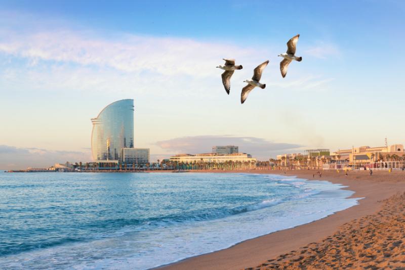 La Barceloneta