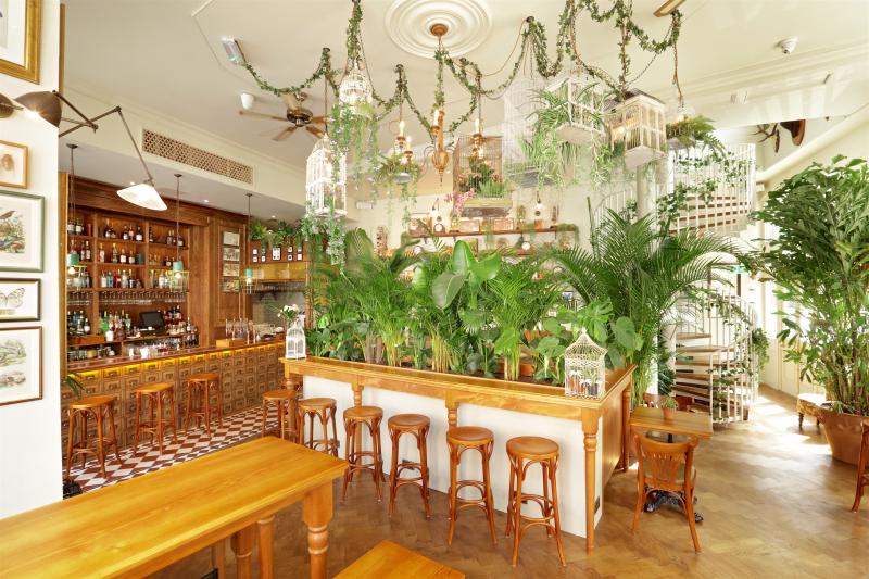 Mr Fogg's House of Botanicals