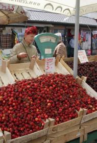 Riga Central Market