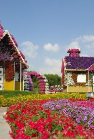 Dubai Miracle Garden