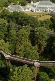 Treetop Walkway Kew