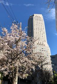 Cerulean Tower Tokyu Hotel