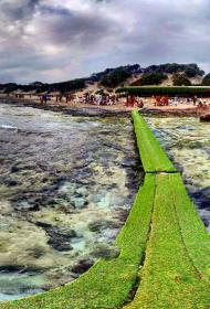 Experimental Beach at Cap des Falcó