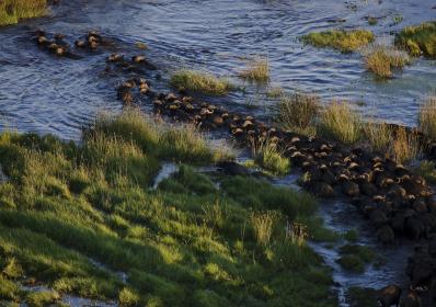Så reser vi svenskar 2025