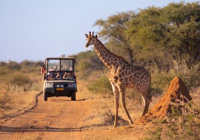 Så reser vi svenskar 2025