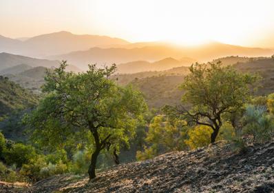 Spanien: Viner i världsklass 