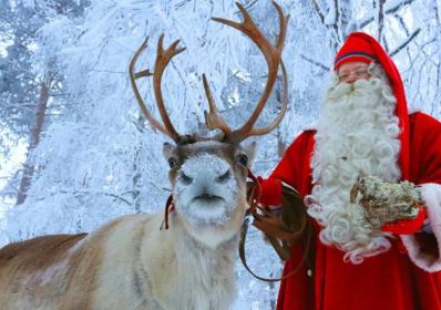 Finland: 8 överraskningar att finna i de finska skogarna