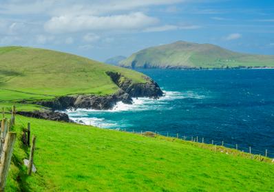 Irland: St Patrick’s Day: Här kan du fira Irlands nationaldag i Sverige 2024