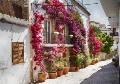 Ibiza, Spanien: Ibiza