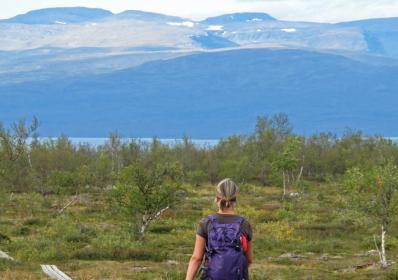 Sverige: Treehotel prisas som världens bästa temahotell