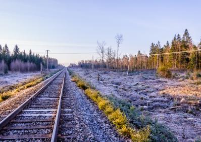 Sverige: Peter Sahlberg: Surfingen har givit mig ett magiskt liv.