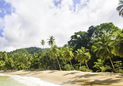 Karibien: Martinique och dess söta själ