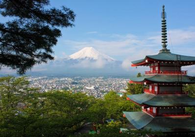 Japan: Miniguide: Här kan du uppleva Tokyos körsbärsblomning