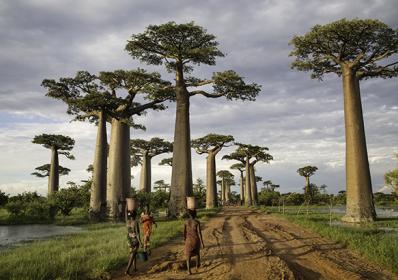 Madagaskar:  Hotelltipset: Som gjort för en film
