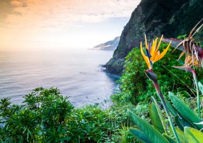 Madeira, Portugal: Portugisiska ön utsedd till Europas bästa 