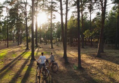 Sverige: Sandhamnsserien-författarens favoritskidort