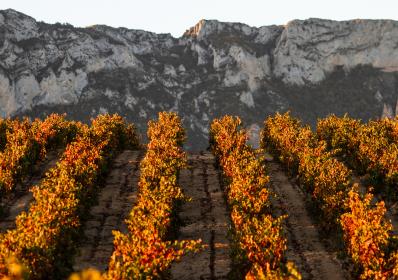 Spanien: Tapas på svenska