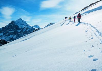 Schweiz: Puder i Davos