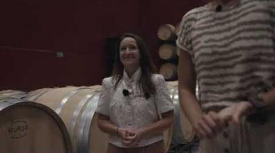 Embedded thumbnail for Rioja vinproduktion!