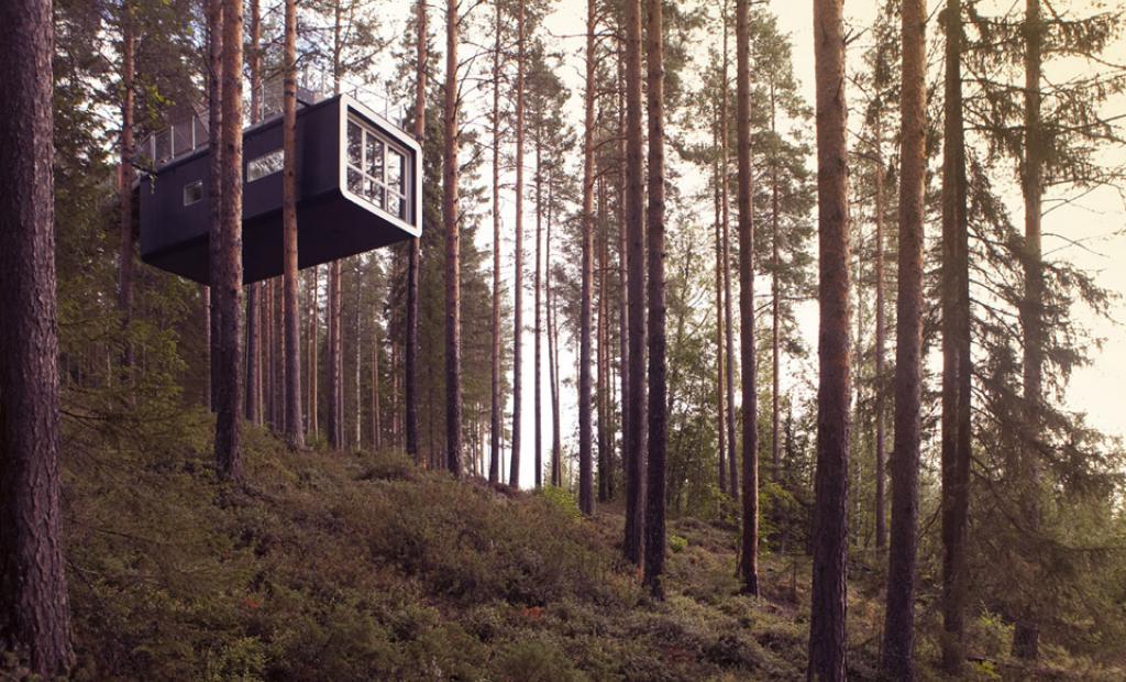 Sverige: Treehotel prisas som världens bästa temahotell