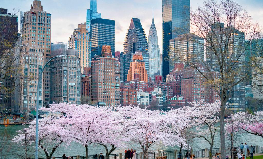 New York, USA: 4 nya adresser i New York City