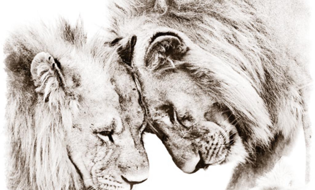 Tillbaka till djurtiden