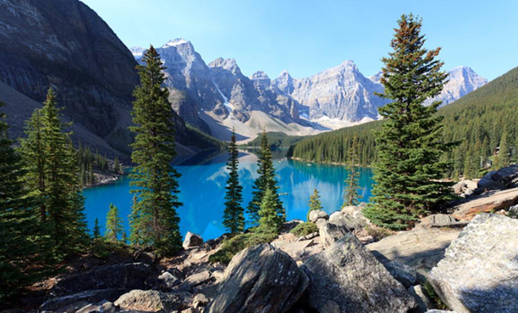 Lönnsirapsreserven räddar amerikanska frukostar