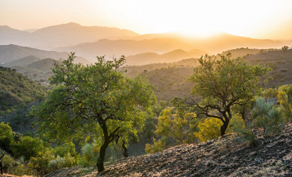 Spanien: Spanientema på webben