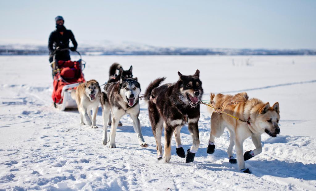 6 annorlunda sportlovsresor