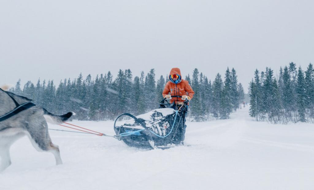 Fjällräven Polar 2023 – en 300 km arktisk expedition i norra Skandinavien