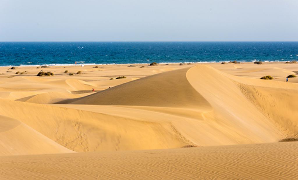 Strandhäng på Gran Canaria