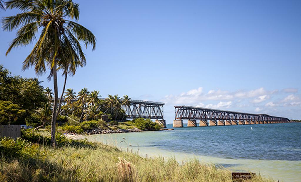USA: Floridas bästa utflykter
