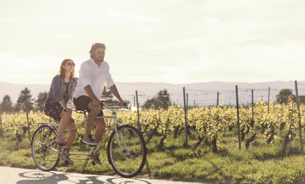Genève, Schweiz: Cykla Geneva Wine Trail – upptäck vingårdarna runt Genève