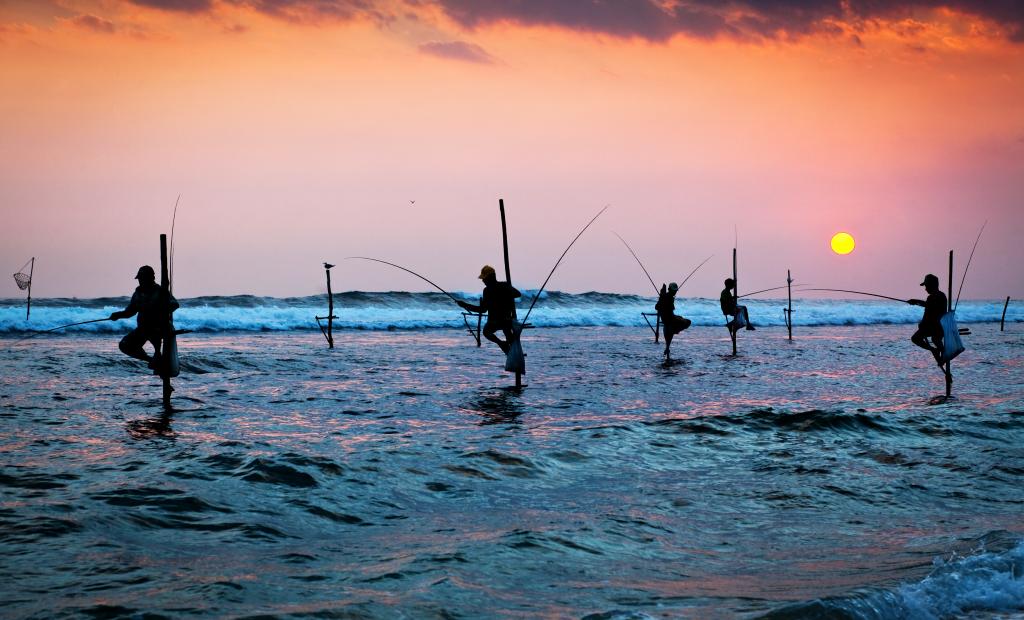 Sri Lanka: Sri Lanka lockar tillbaka turister med gratis visum