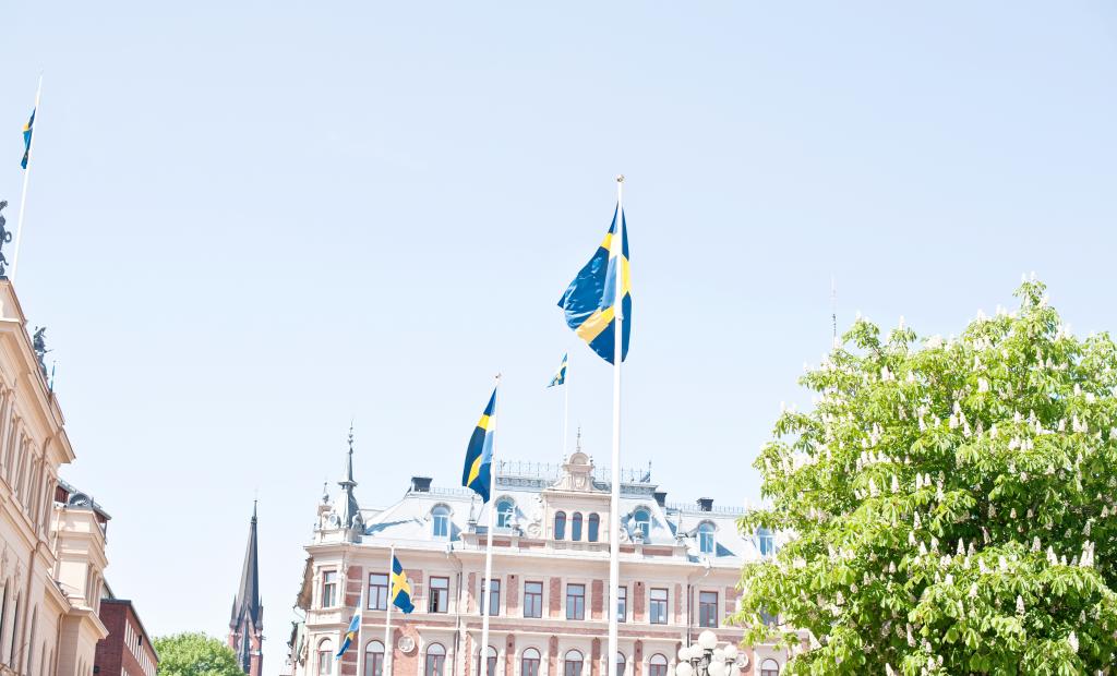 Sverige: Guide: Här kan du fira Sveriges nationaldag