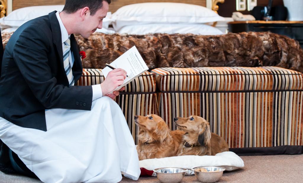 Topp 9: Hotell där hunden är välkommen