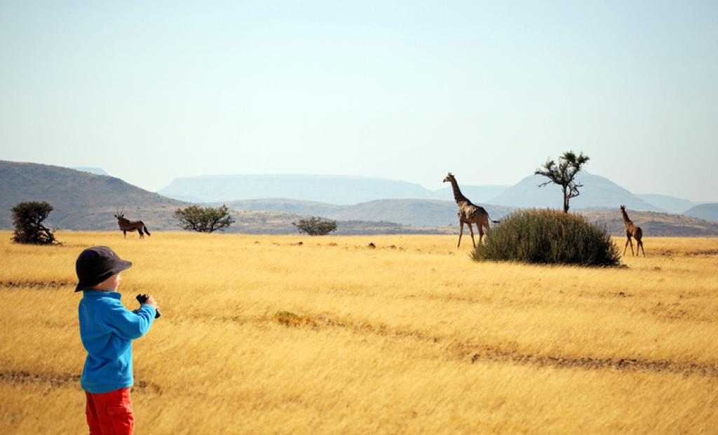 Här är resetrenderna för 2019
