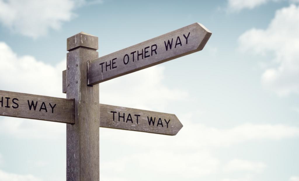 Klimatkompensation för dummies: Så gör du!