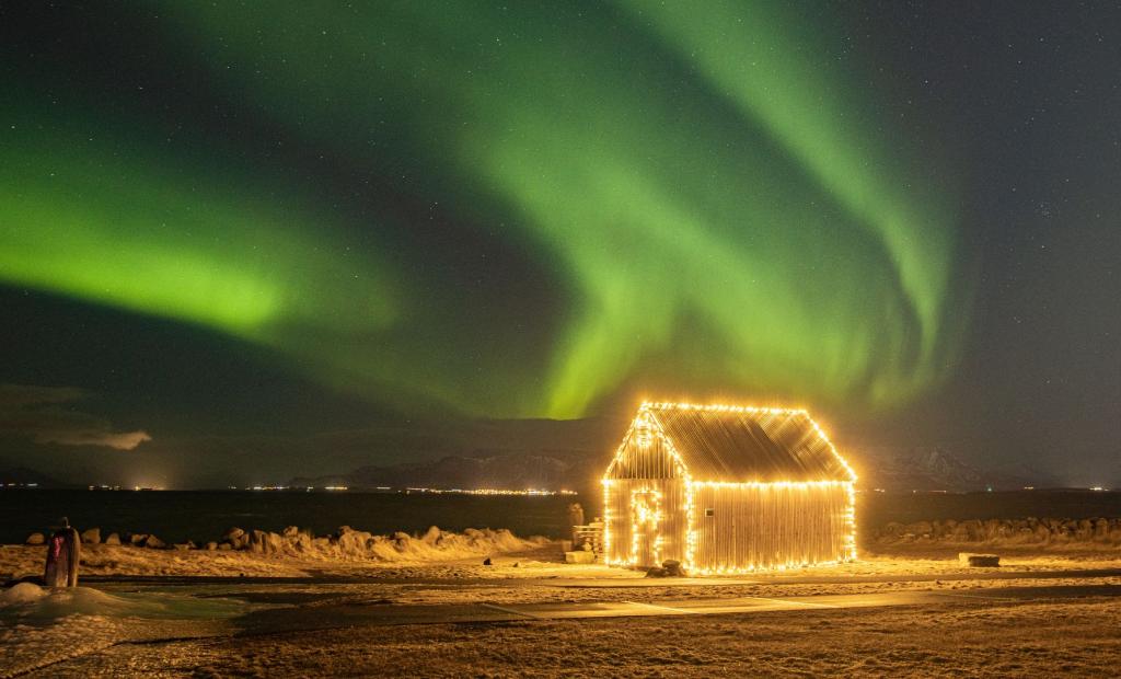 6 storstäder för en weekendresa med unik julstämning 