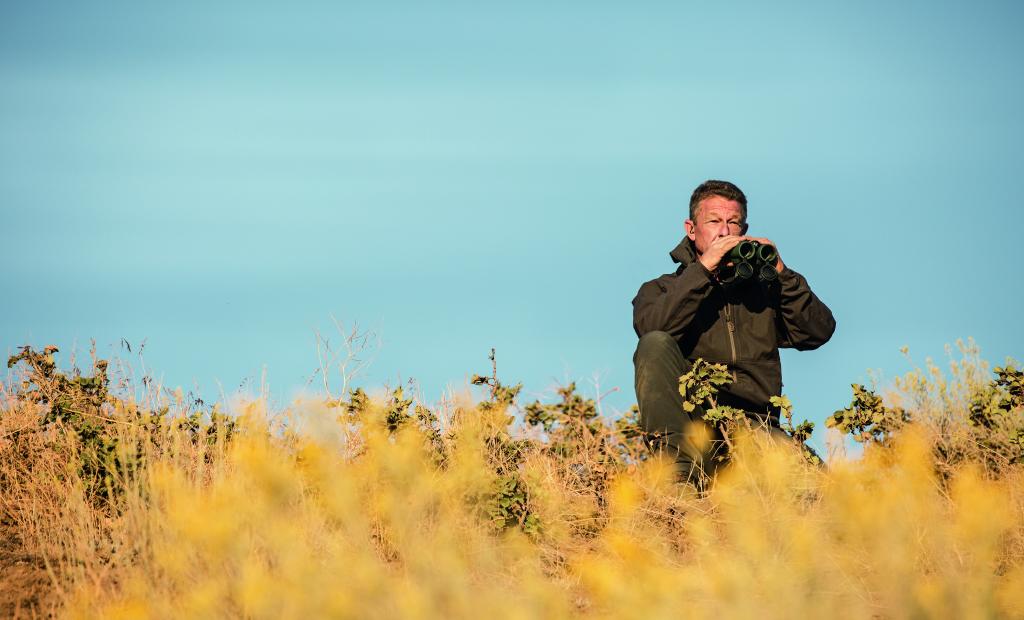 Se någonting på resan