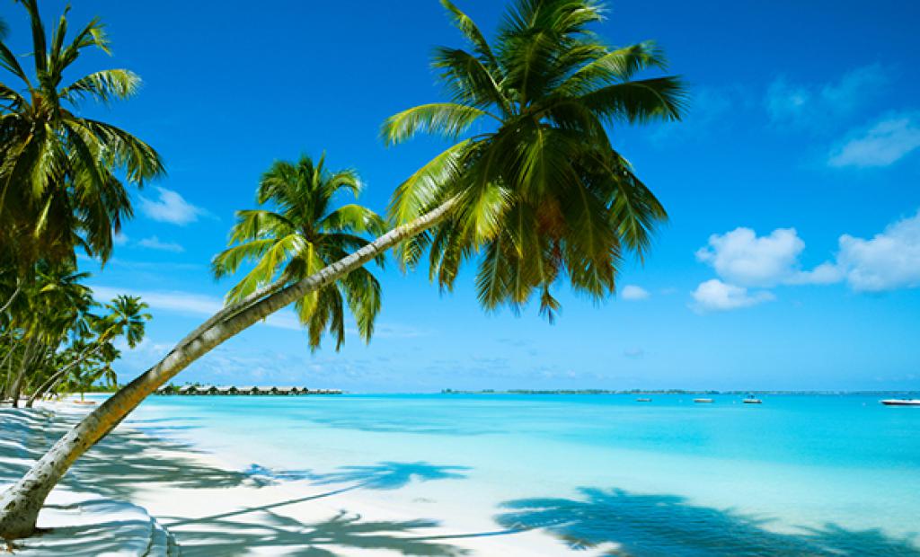 Här semestrar du med Justin Bieber och Rihanna