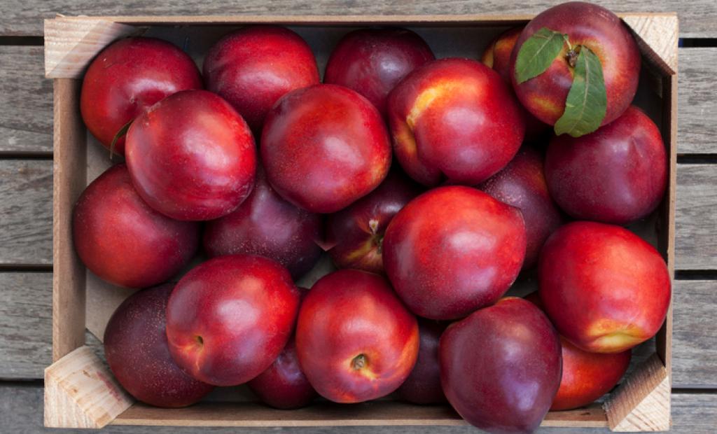 10 kg nektariner och träsnoppar – här är de mest misslyckade souvenirköpen