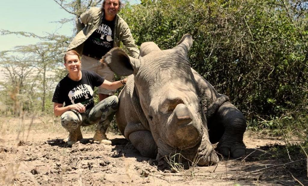 Noshörningen Sudan söker kärleken på Tinder