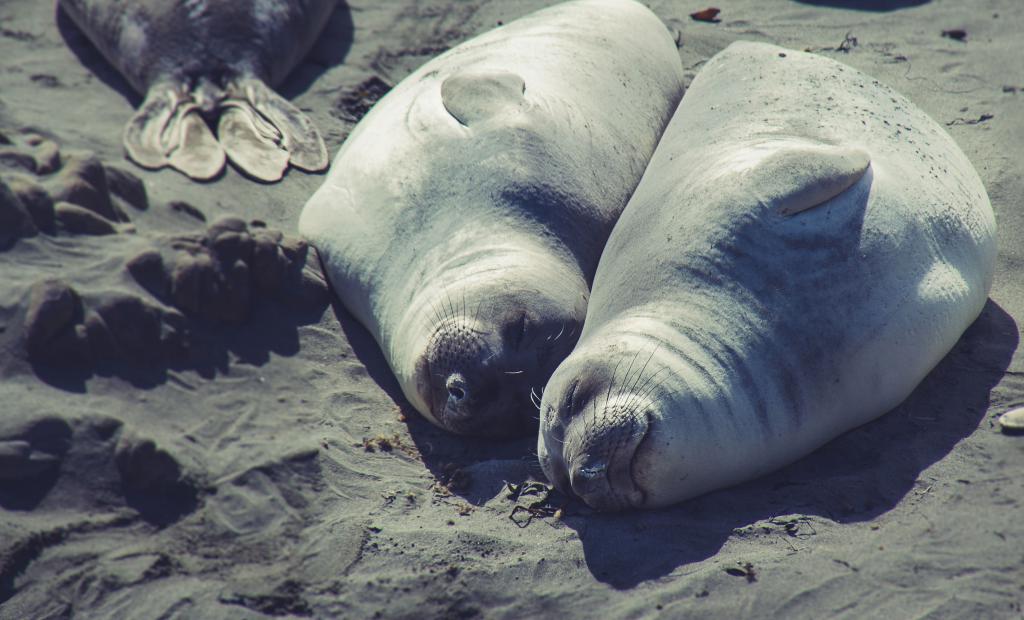 Här är vinnarna i fototävlingen